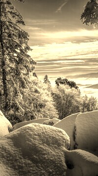Sepia