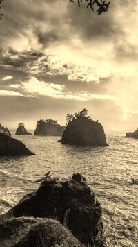 Szary + Sepia