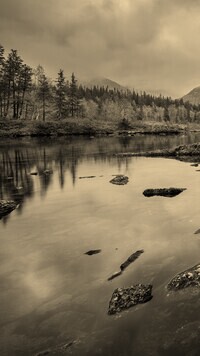 Sepia