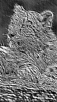 Skamielina
