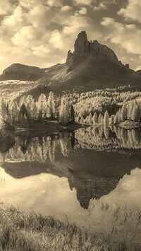 Szary + Sepia