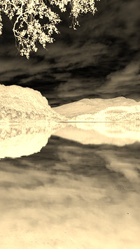 Sepia + Negatyw