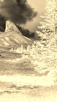 Sepia + Negatyw