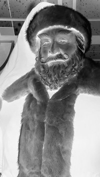 Szary + Negatyw