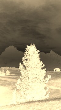 Sepia + Negatyw
