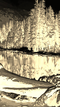 Sepia + Negatyw