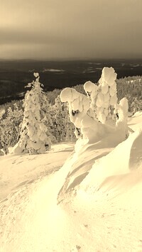 Szary + Sepia
