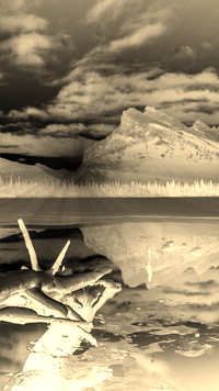 Sepia + Negatyw