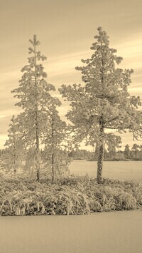 Szary + Sepia