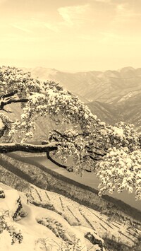 Szary + Sepia