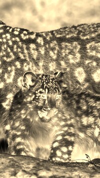 Sepia + Negatyw