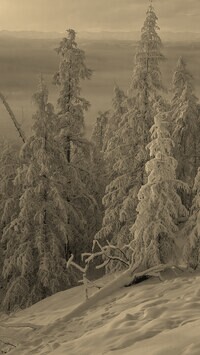 Szary + Sepia