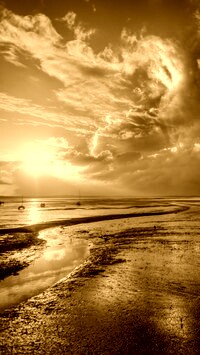 Sepia