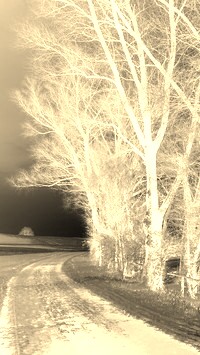 Sepia + Negatyw