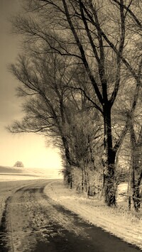 Szary + Sepia