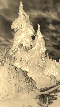 Sepia + Negatyw