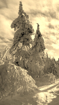 Sepia