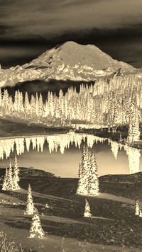 Sepia + Negatyw