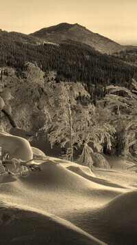 Szary + Sepia