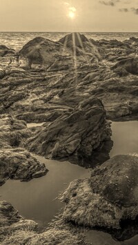 Szary + Sepia