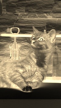 Sepia + Negatyw