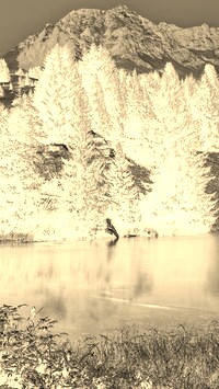 Sepia + Negatyw