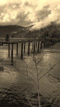 Sepia