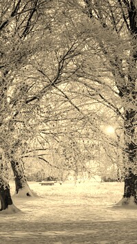 Szary + Sepia