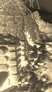 Sepia + Negatyw