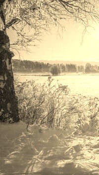 Sepia