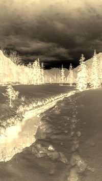 Sepia + Negatyw