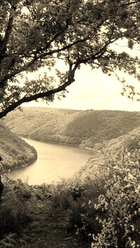 Szary + Sepia