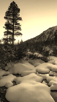 Szary + Sepia