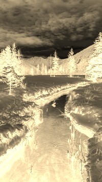 Sepia + Negatyw