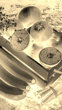 Sepia + Negatyw