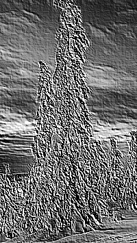 Skamielina