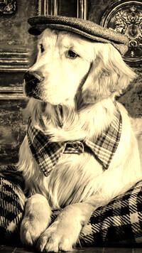 Sepia