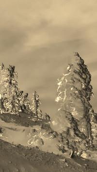 Sepia + Negatyw