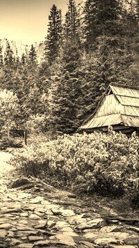 Szary + Sepia