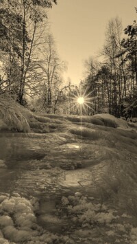 Szary + Sepia