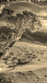 Sepia