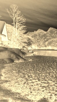 Sepia + Negatyw