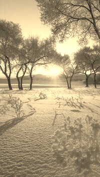 Szary + Sepia