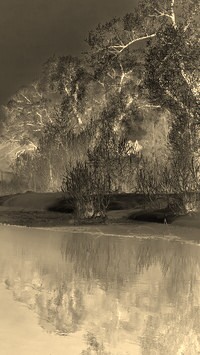 Sepia + Negatyw