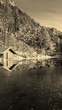 Szary + Sepia
