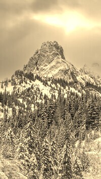 Sepia