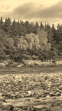 Szary + Sepia