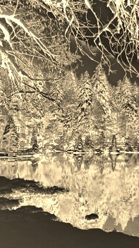 Sepia + Negatyw
