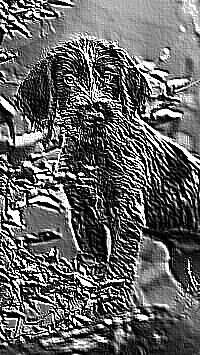 Skamielina