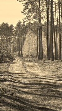 Sepia